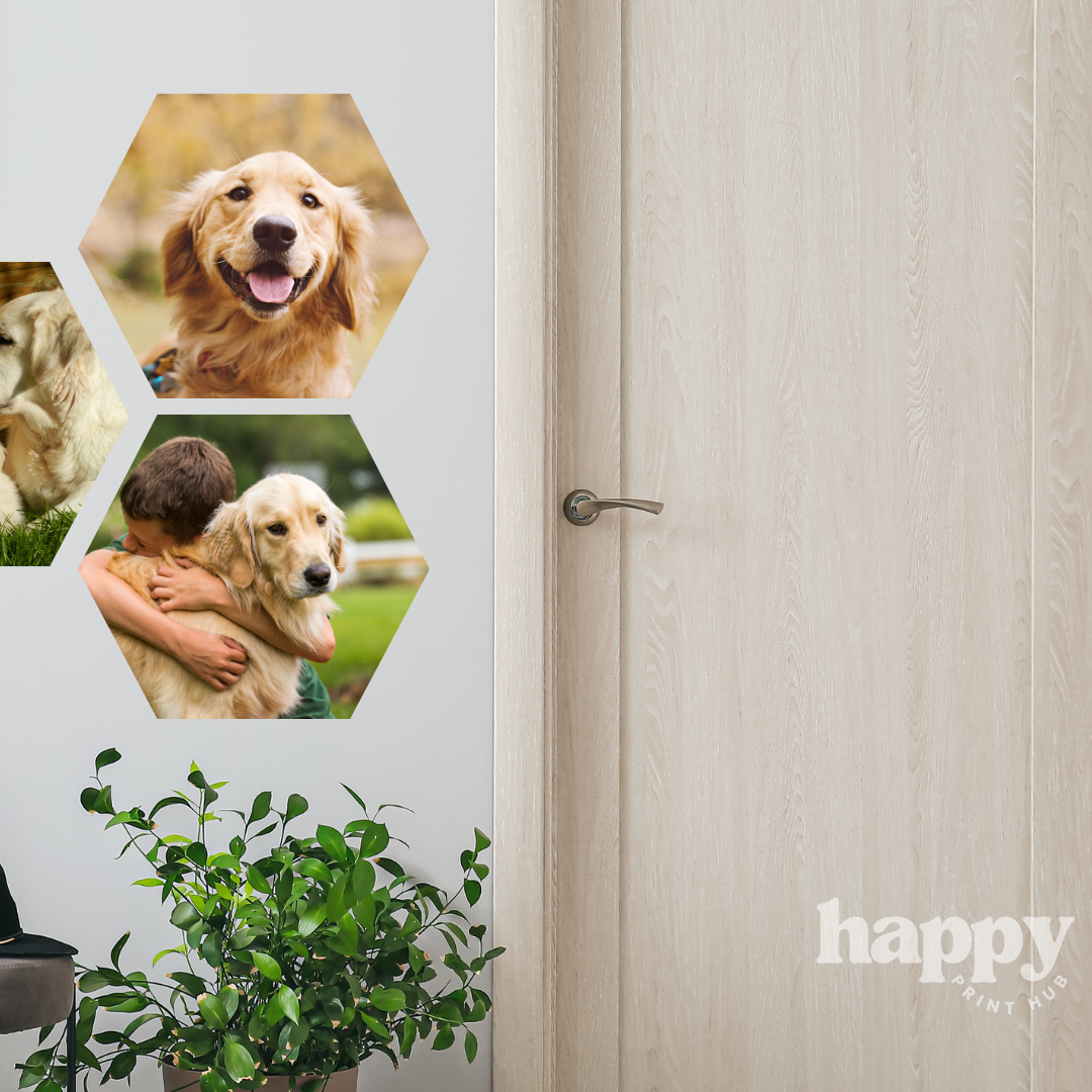 Hexagon Photo Wall Decals - 20cm | Removable
